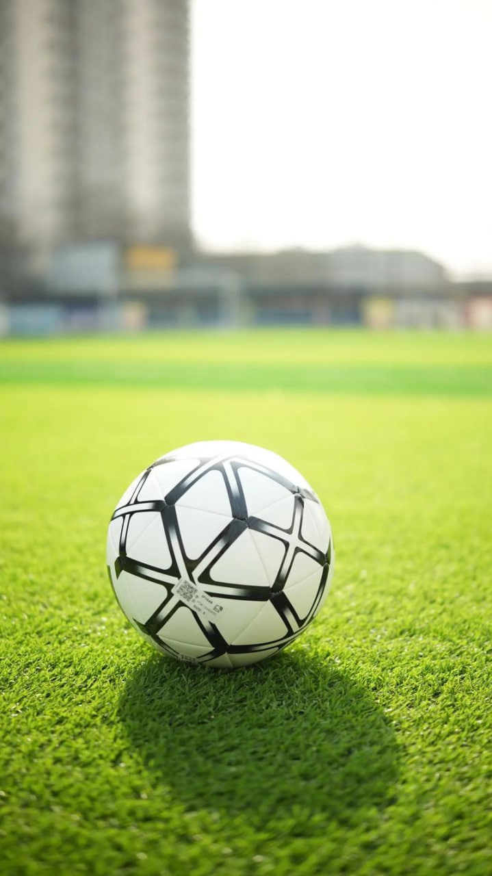 资深玩家深度分析场景