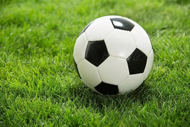 澳客竞彩网官方二维码